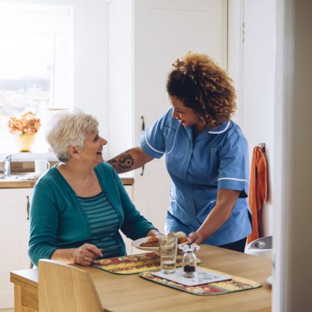 Quels sont les principaux services à la personne pour les personnes âgées ?