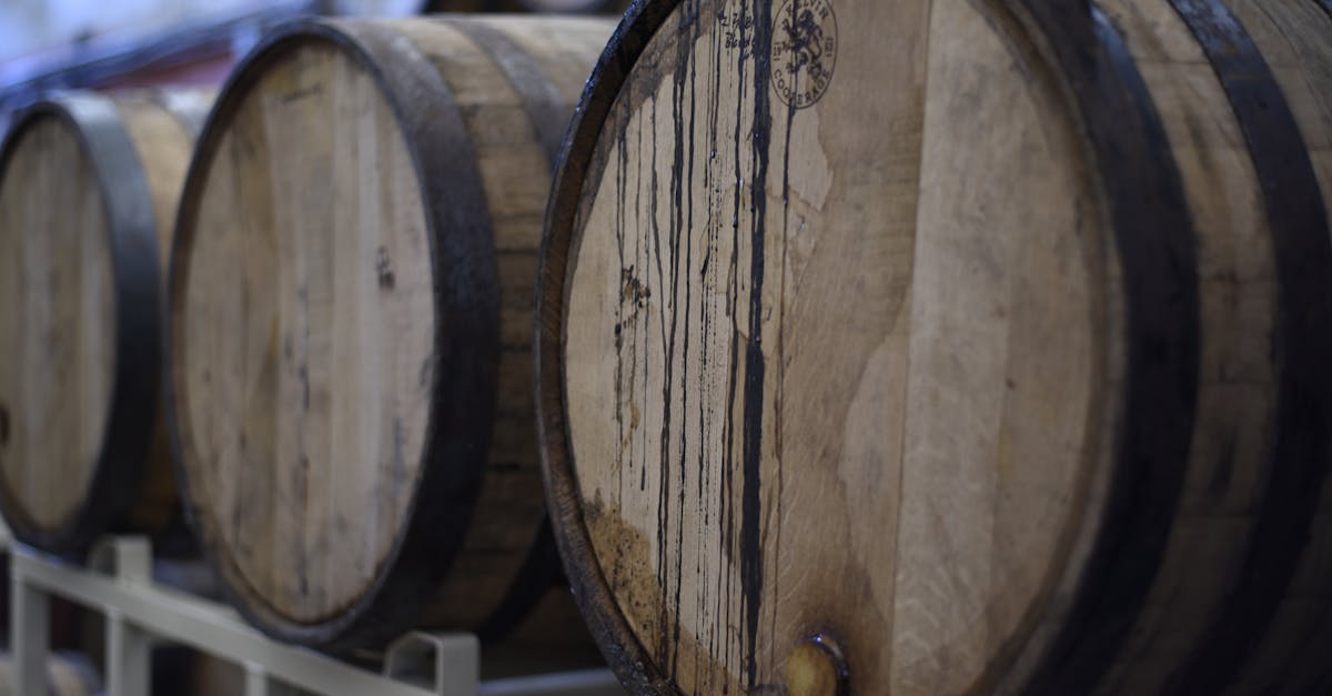 découvrez l'univers fascinant de la bière artisanale : des saveurs uniques, des ingrédients de qualité et des méthodes de brassage traditionnelles. plongez dans la passion des brasseurs créatifs et explorez la diversité des styles de bières faites à la main.
