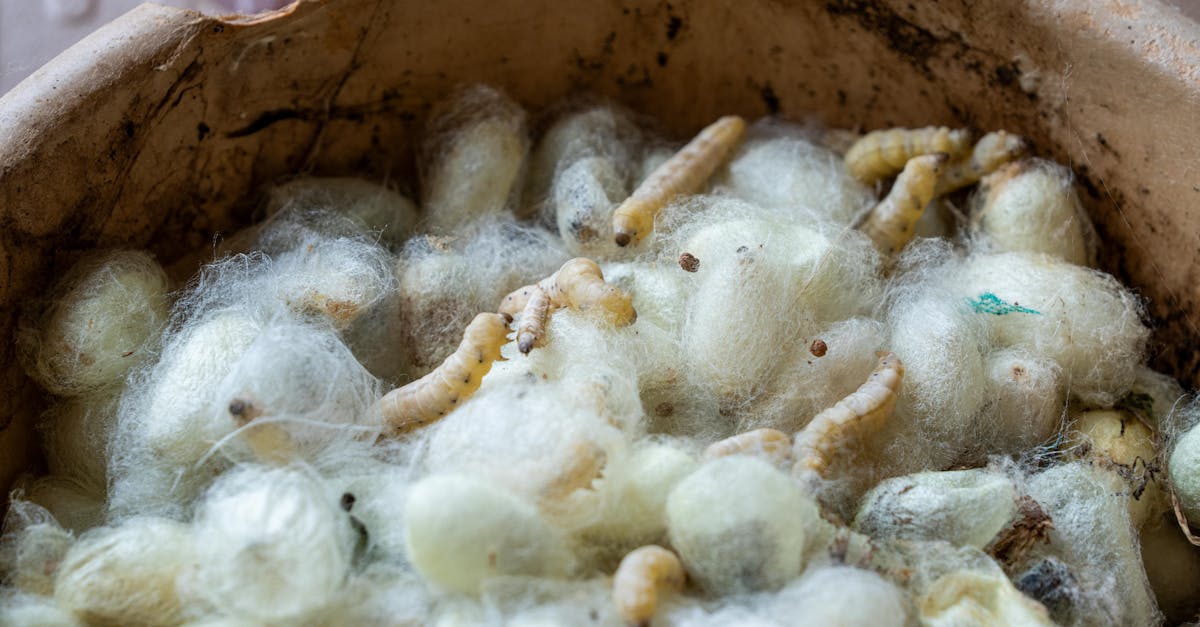 découvrez notre sélection de produits éco-responsables qui allient durabilité et respect de l'environnement. adoptez un mode de vie éco-amical tout en préservant notre planète pour les générations futures.